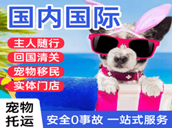 观音机场托运国际宠物托运 【国